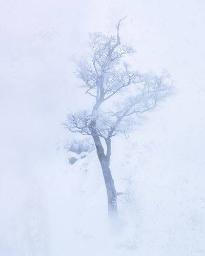 Hokkaido Japan