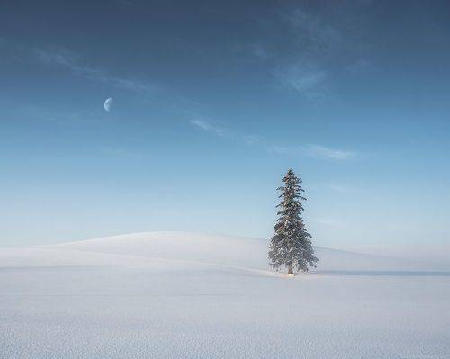 Hokkaido Japan
