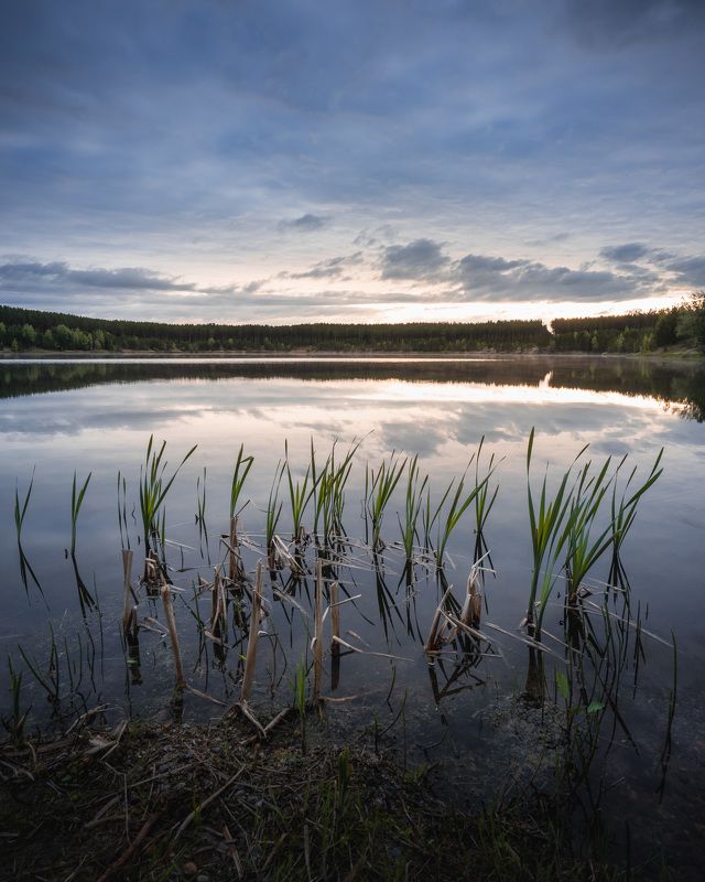 Рассвет на озере Лебяжье...  Dawn on the Lebyazhye lake…