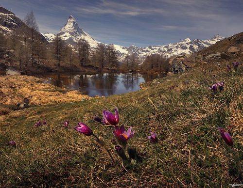 Весна в Горах...