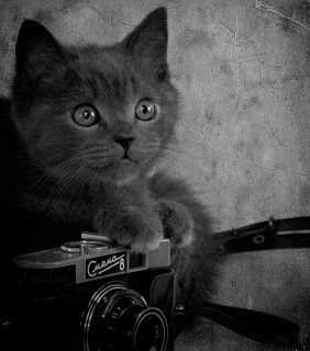 Ко Дню фотографа :)