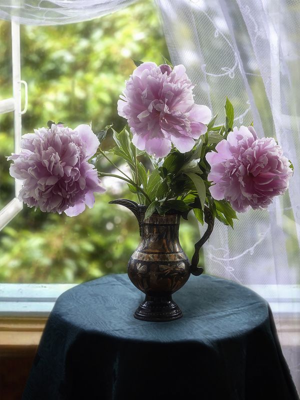 Розовые пионы у открытого окна