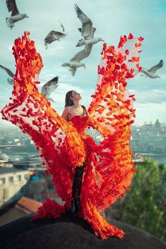 Фотосессии мечты на стамбульской крыше с чайками.