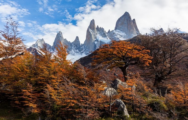 Autumn in Patagonia 