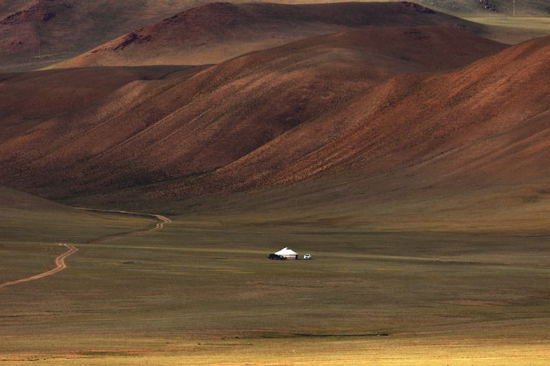 Утро в монгольской степи