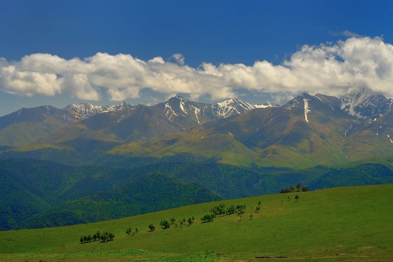 Высокогорные пастбища Кавказа