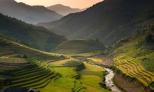 Amazing Rice terraces