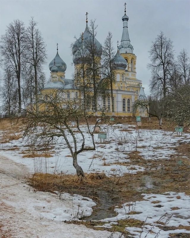 Весна в Ленинградской области
