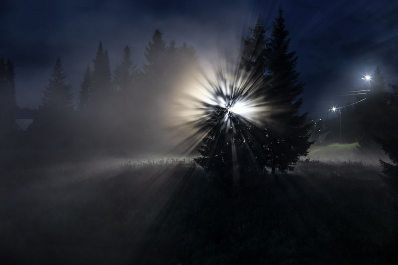 Метаморфозы ночного тумана