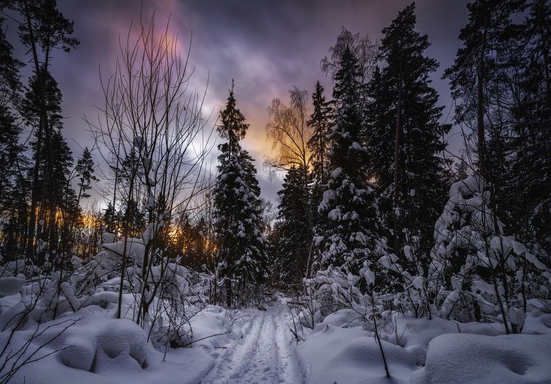 Зимний закат в Подмосковье