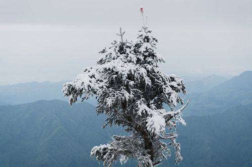 Winter wonder of the summit