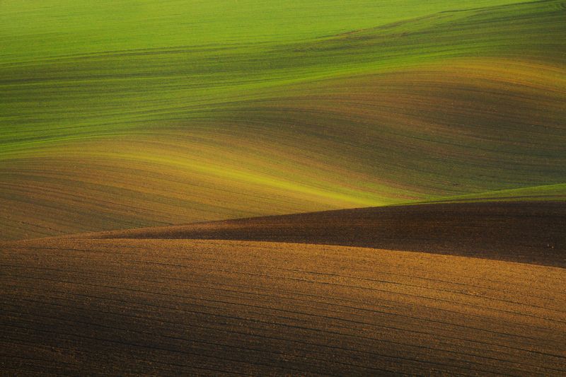  Velvet hills of Moravia