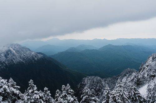 Snowy Conifer Peaks