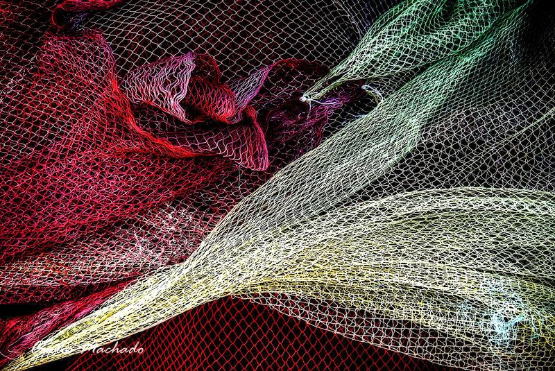 Fishnets 