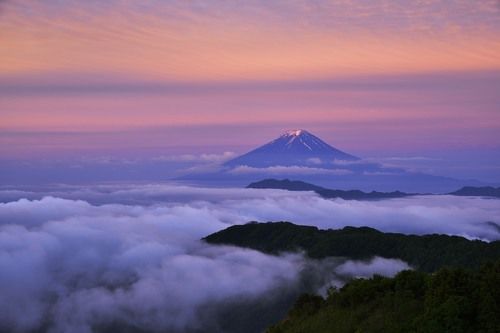Mt Fuji and sea of cloud