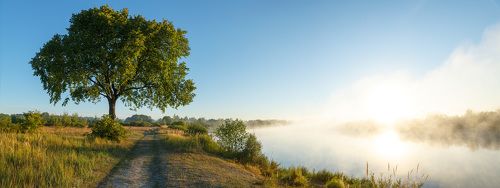 Августовское утро над рекой Березиной