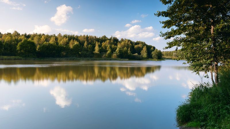 Панорама лесного озера