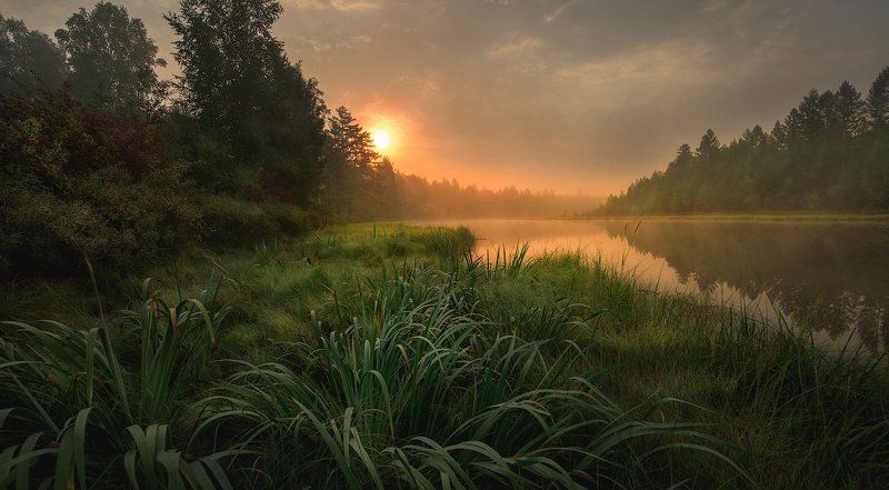 озеро, тайга, рассвет, лес, утро, туман Утро в тайгеphoto preview