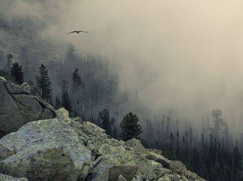 Над обрывом. Утренний туман в истоках речки Тайгишонок. Черное Озеро, Ергаки.