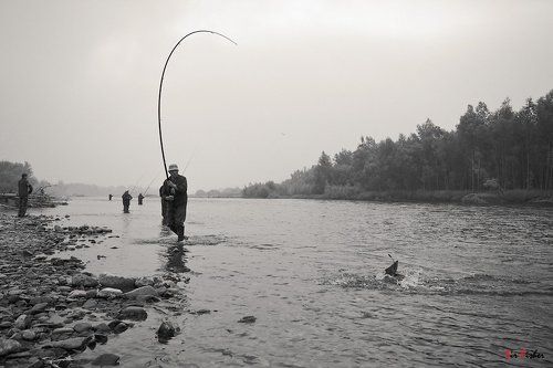 ...про рыбалку
