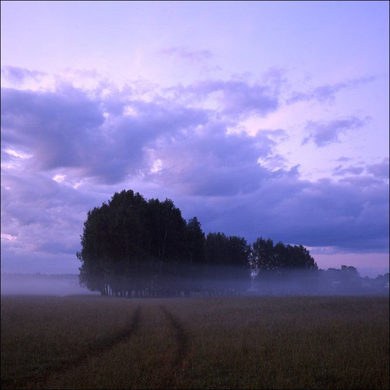 Летняя утренняя слайдовая картинка с дорогой и березами в поле у Скомороховоphoto preview