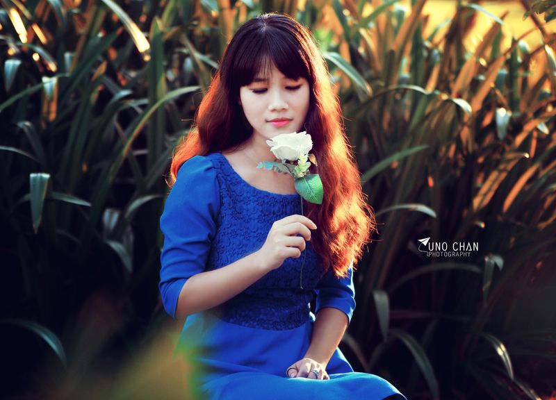 unochan, flower, blue, white, girl, beautyful, sunset Lệ Trâmphoto preview