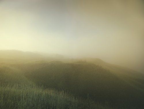 The Magic of Mist