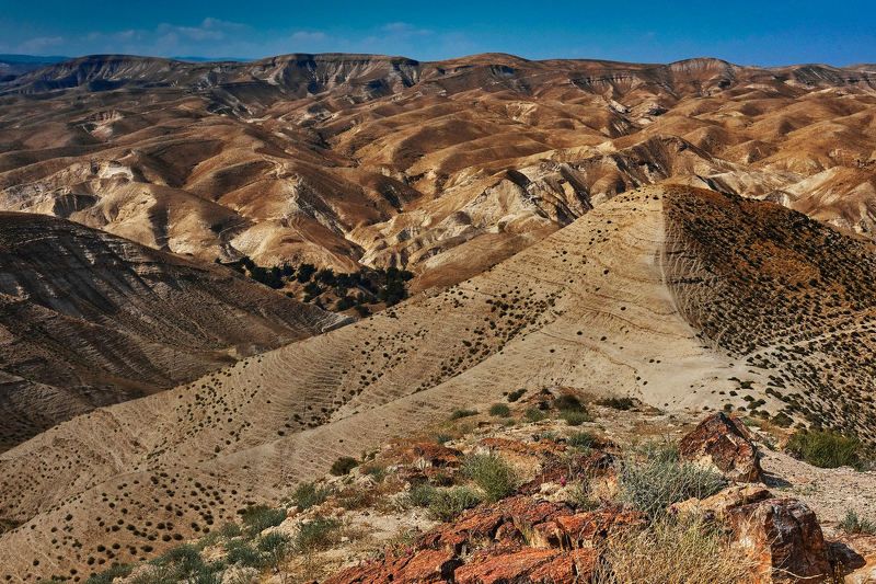The Judaean Desert - Иудейская пустыня