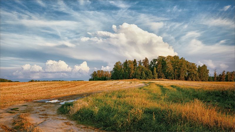 Осень, вечер...