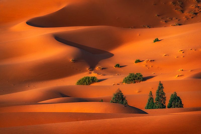 Desert forms / Пустынные формы