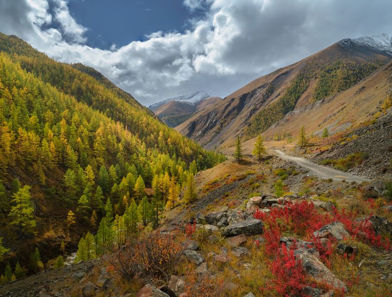 Золотая осень в горах Тывы / Golden autumn in the mountains of Tyva