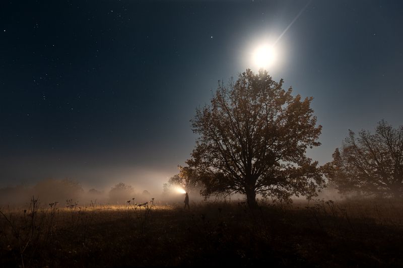 Туман в лунную ночь⁠⁠