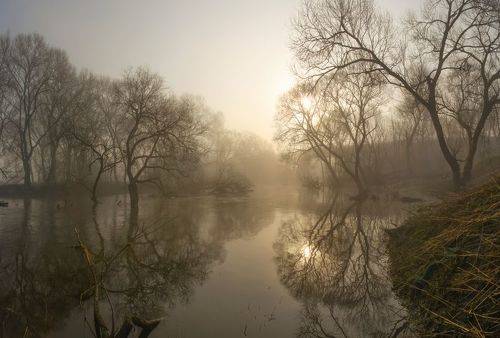 Весенний туман ))
