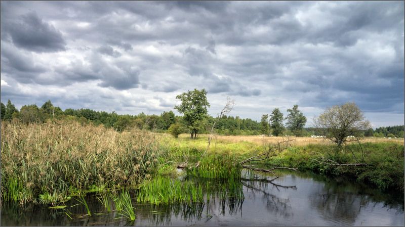 рыбалка, форель, спиннинг, Беларусь, река, осень, сентябрь, Леопардовый сентябрьphoto preview
