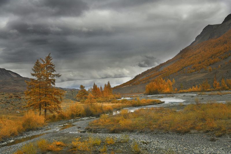 Фотосессия на Алтае осенью