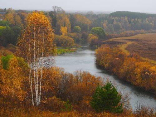 Осень на реке