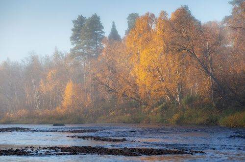 Осень на реке Поной