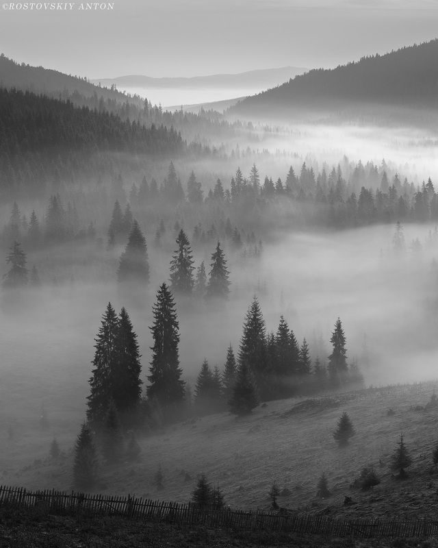 Туманное утро | фототур в Румынию