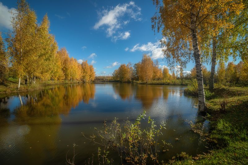 Осень Золотая Карелия Сегежа