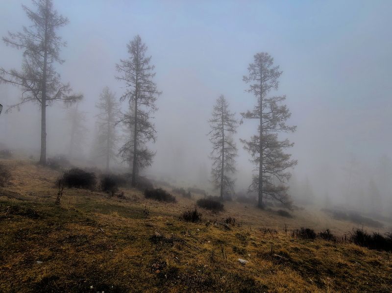 Туман на перевале