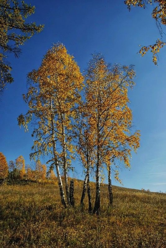 Осень в Башкортостане
