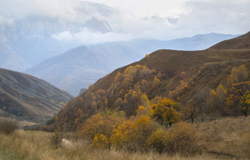 В золотом убранстве