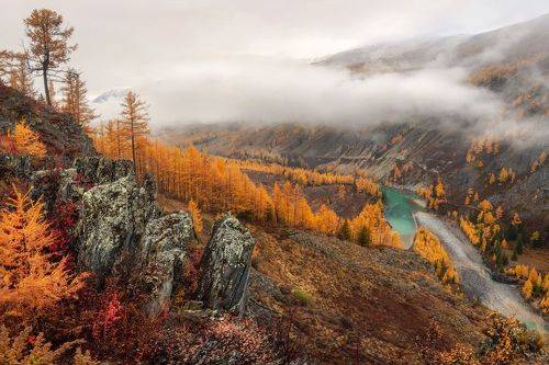 Алтайская золотая осень. Красота без лишних слов. Долина реки Аргут.