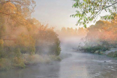 Золотая осень !, да ещё с туманом у реки...