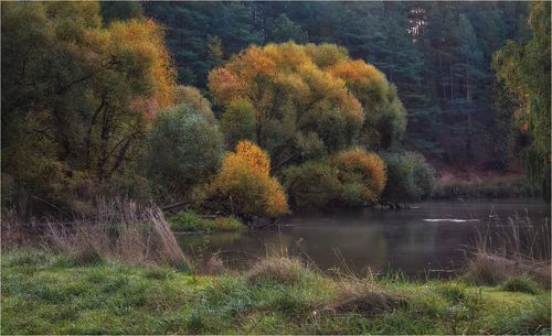 Река и осень