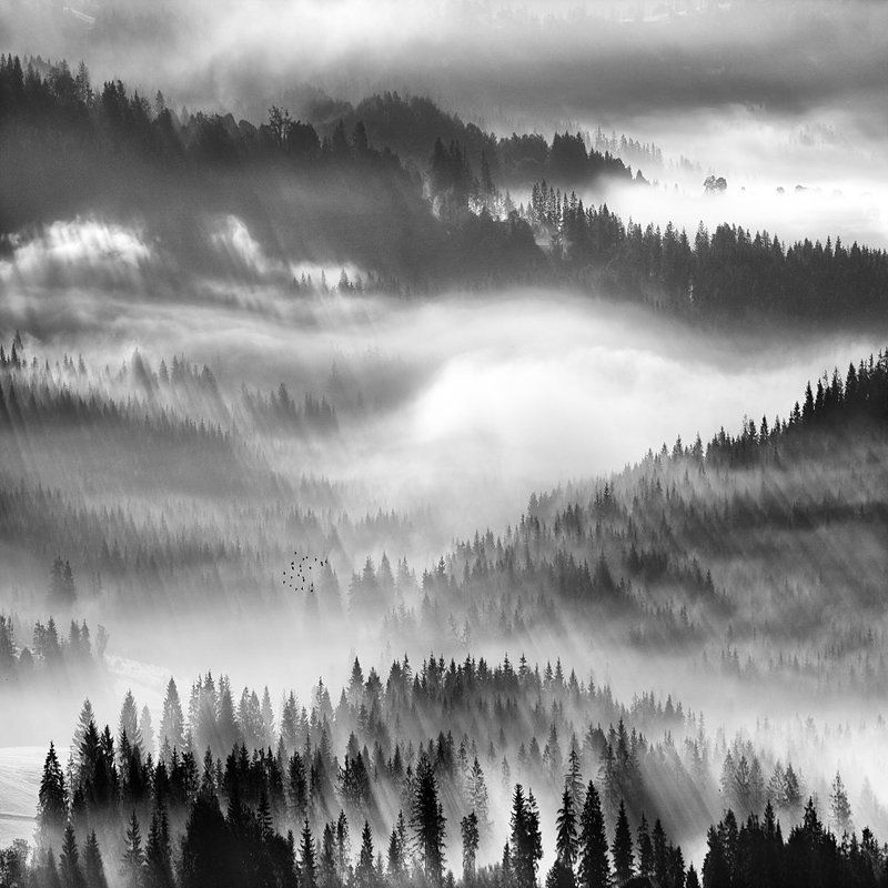 Fog,mountains Valley fog ...photo preview