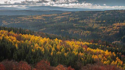 Autumn in Czechia