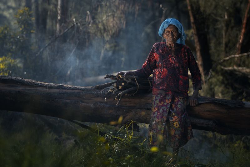 Resilience in Hardship: Elderly Woman Carrying Firewood