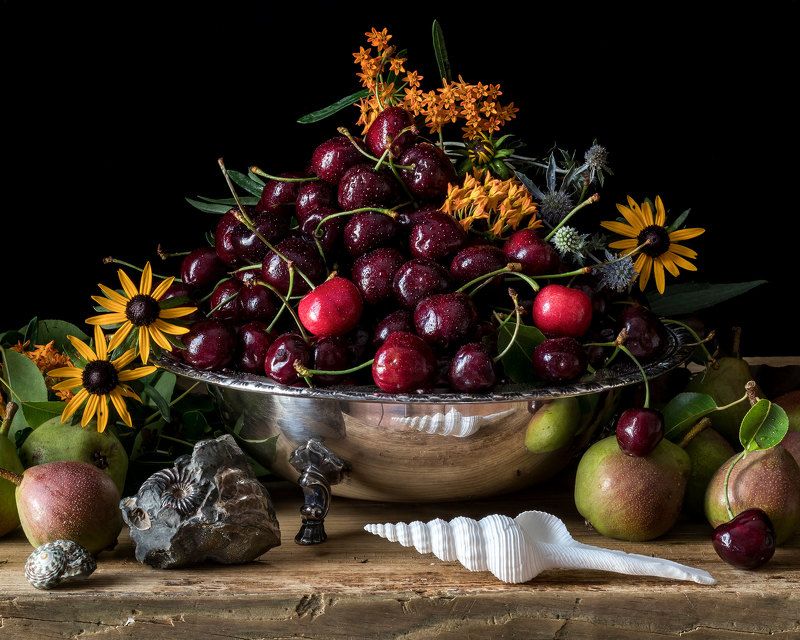 Still Life with Cherries and Ammonite