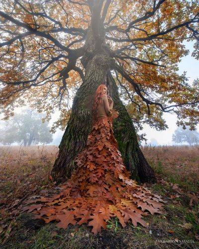 Soul of tree